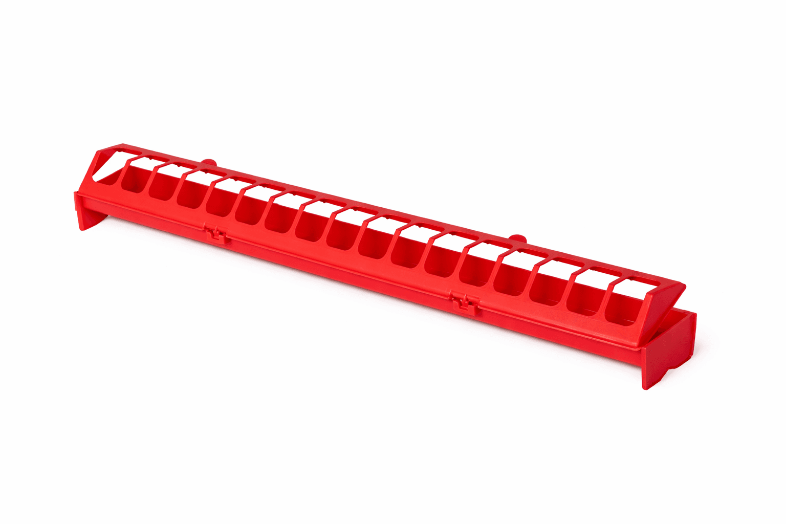 Mangiatoia a Barretta per Pulcini Tiberia 55 cm - 2