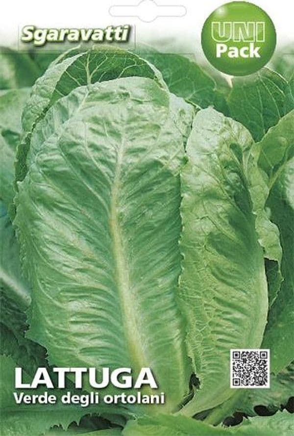 SEMI PER ORTAGGI E VEGETALI lattuga verde degli ortolani- 20 pezzi  - SGARAVATTI - 2