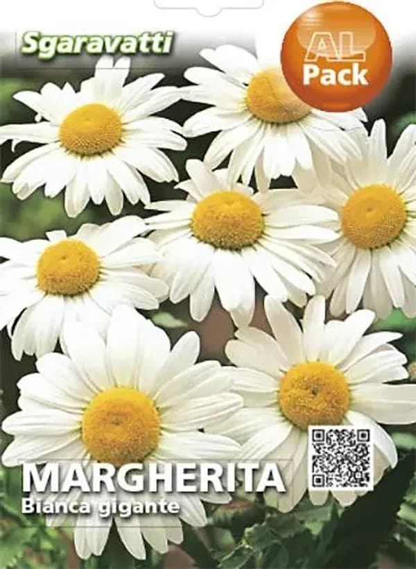 SEMI PER PRATO UNIVERSALE margherita bianca gigante- 20 pezzi  - SGARAVATTI