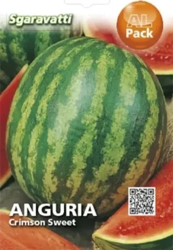SEMI PER ORTAGGI E VEGETALI anguria crimson sweet- 20 pezzi  - SGARAVATTI - 2