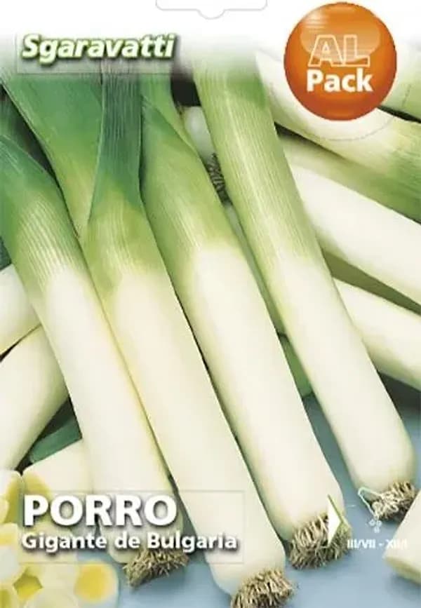 SEMI PER ORTAGGI E VEGETALI porro gigante de bulgaria- 20 pezzi  - SGARAVATTI - 2