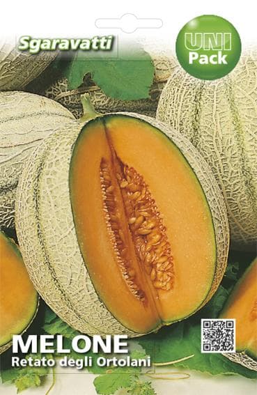 Semi per Ortaggi e Vegetali Melone Retato degli Ortolani 20 Pezzi - 2