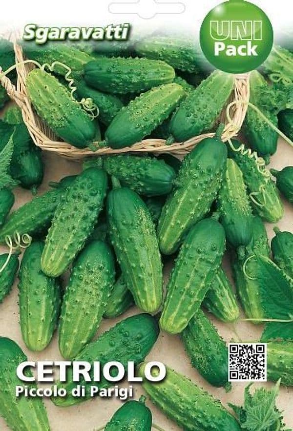 SEMI PER ORTAGGI E VEGETALI cetriolo piccolo verde di Parigi- 20 pezzi  - SGARAVATTI - 2