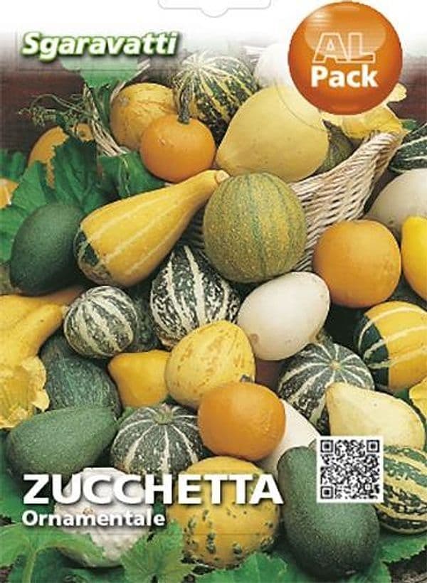 SEMI PER PRATO UNIVERSALE zucchette ornamentali- 20 pezzi  - SGARAVATTI - 2