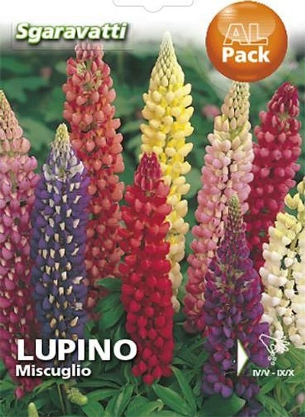 SEMI PER PRATO UNIVERSALE lupino perenne miscuglio- 20 pezzi  - SGARAVATTI - 2