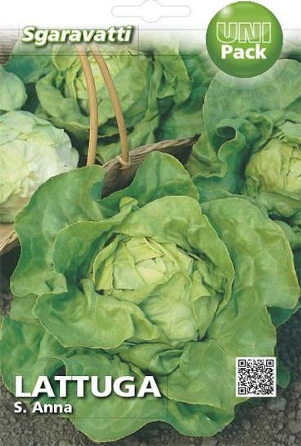 SEMI PER ORTAGGI E VEGETALI lattuga S. Anna- 20 pezzi  - SGARAVATTI - 2