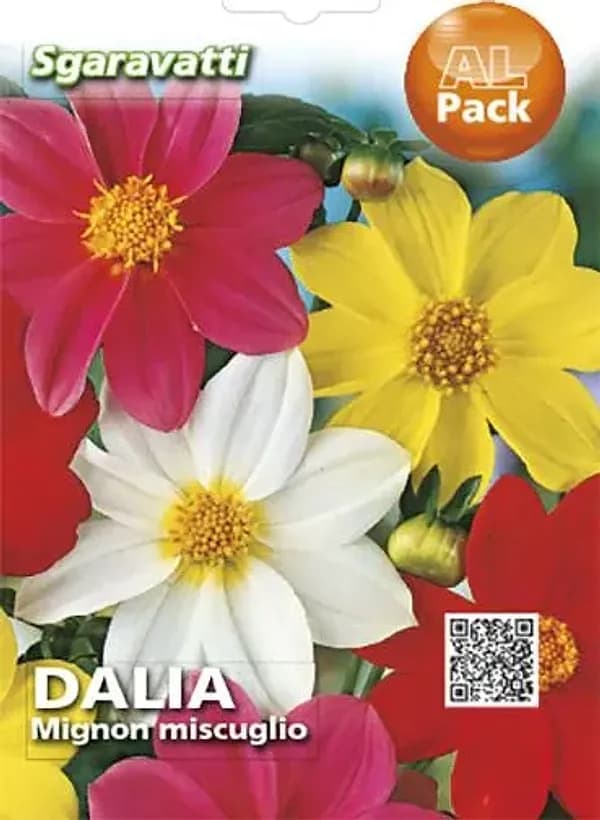 SEMI PER PRATO UNIVERSALE dahlia mignon- 20 pezzi  - SGARAVATTI - 2