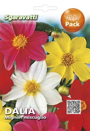Semi per Prato Universale Dahlia Mignon Sgaravatti 20 Pezzi - 2