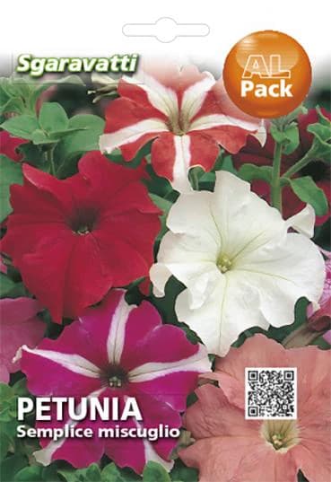 Semi per Prato Universale Petunia Semplice Miscuglio Sgaravatti 10 Pezzi - 2