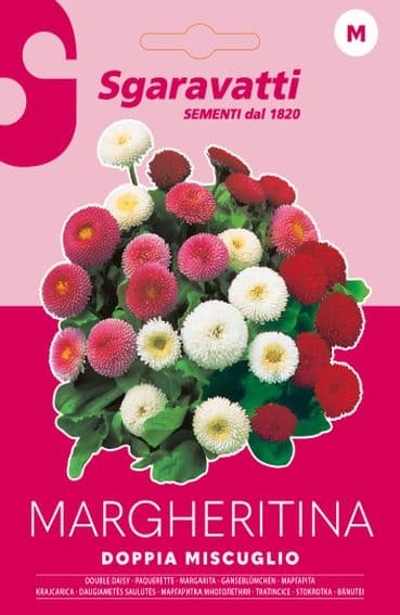 Semi per Prato Universale Margheritine Doppie in Miscuglio 20 Pezzi - 2