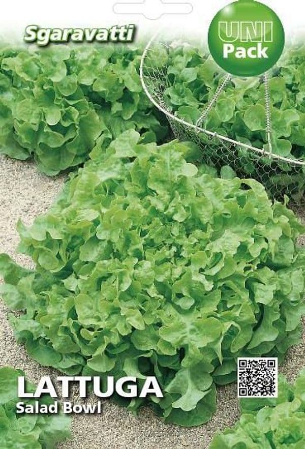 SEMI PER ORTAGGI E VEGETALI lattuga salad bowl- 20 pezzi  - SGARAVATTI - 2