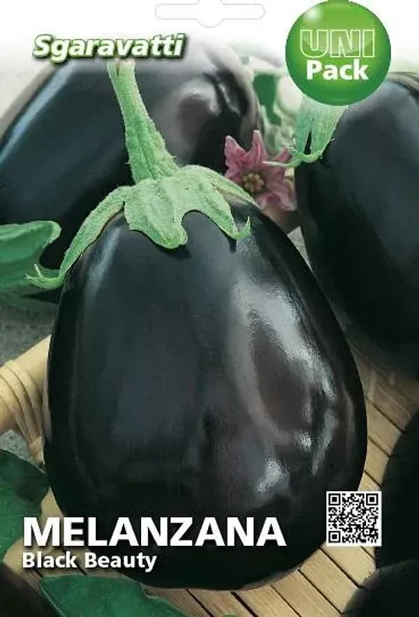SEMI PER ORTAGGI E VEGETALI melanzana black beauty- 20 pezzi  - SGARAVATTI - 2