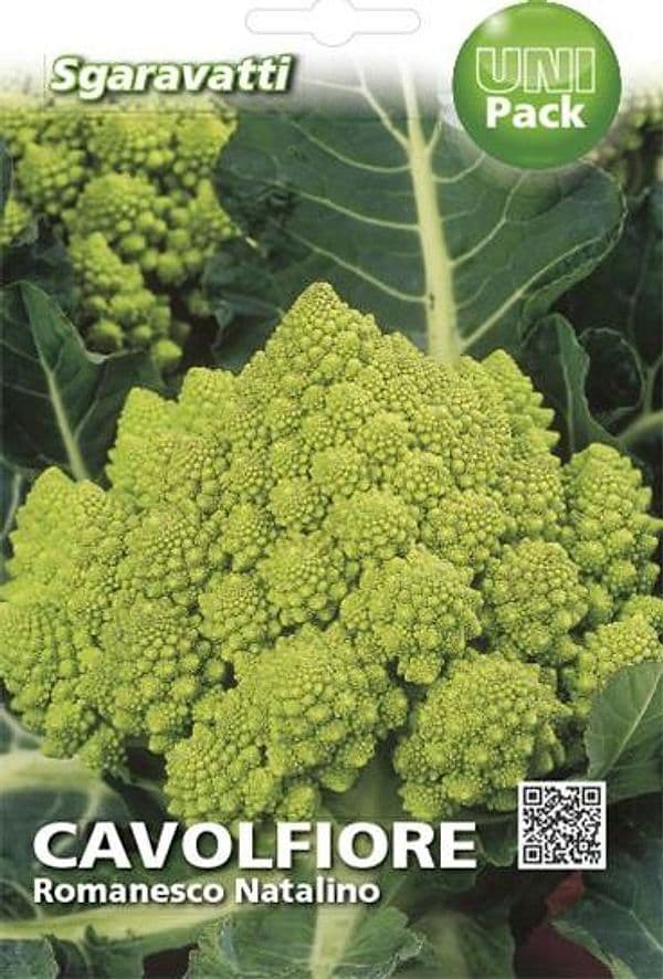 SEMI PER ORTAGGI E VEGETALI cavolfiore romanesco natalino- 20 pezzi  - SGARAVATTI - 2