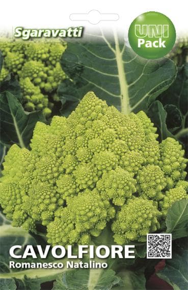Semi per Ortaggi e Vegetali Cavolfiore Romanesco Natalino 20 Pezzi - 2