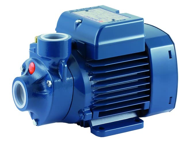 Elettropompa Periferica in Ghisa Monofase Pkm 0,50 0,37 kW 230 V Pedrollo - 2