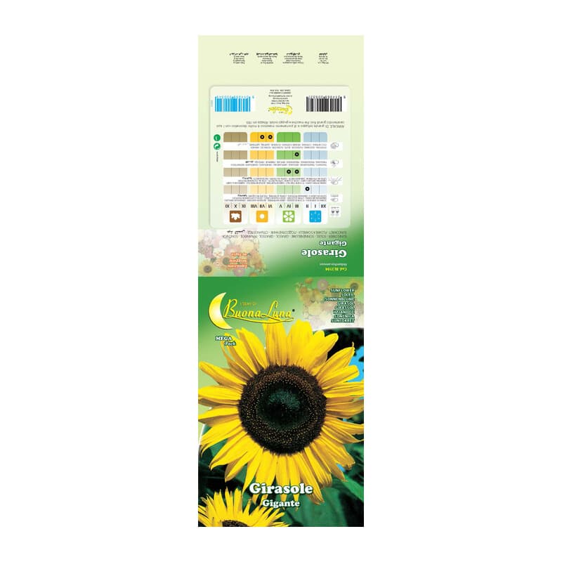 Semi Garden Girasole Gigante 10 Pezzi - 2