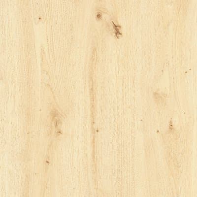 PLASTICA ADESIVA 2875 HOME DECO - BETULLA H.CM 45 L.MT 15- 1 pezzi - 2