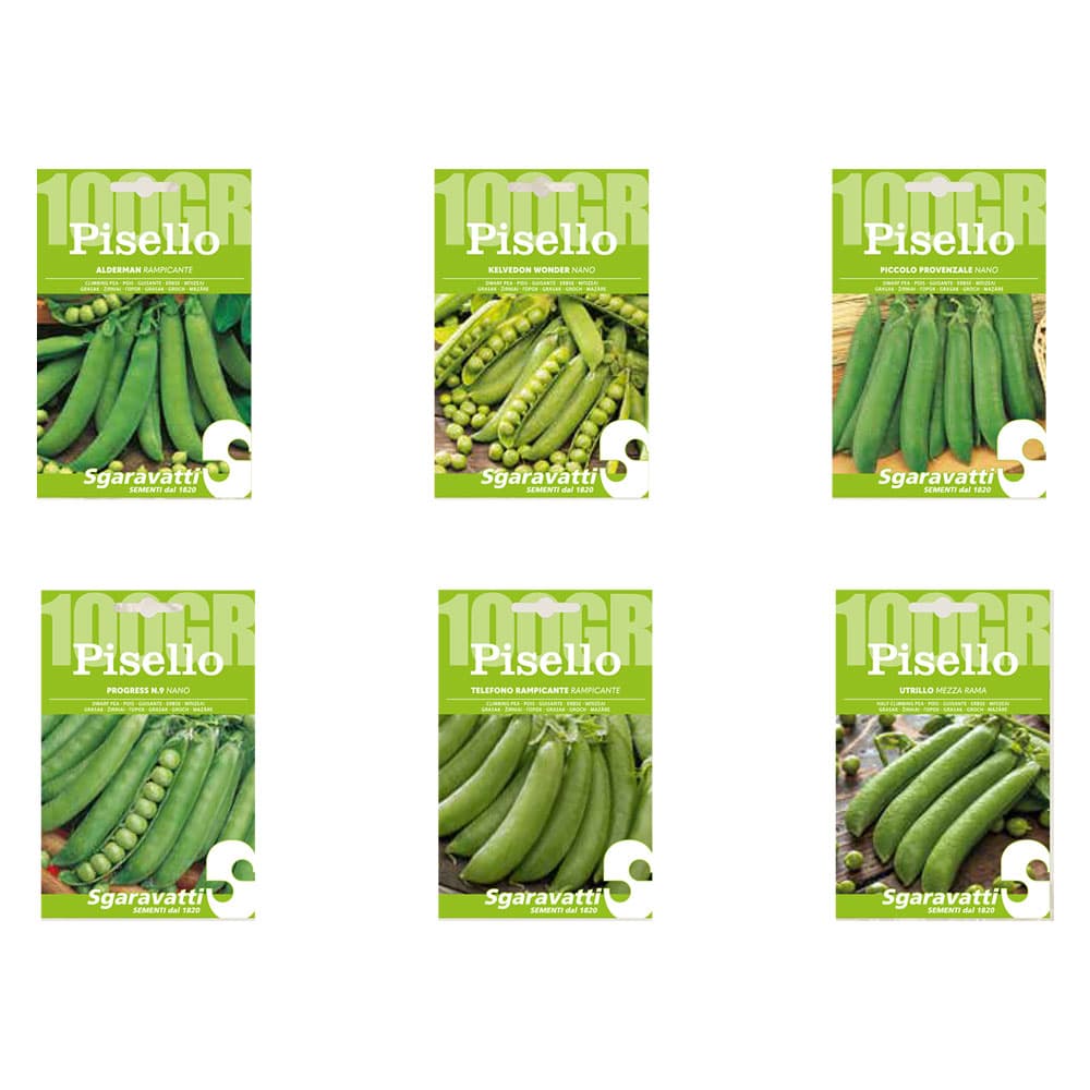 Semi per Fave Pisello Utrillo Sgaravatti 250 gr - 2