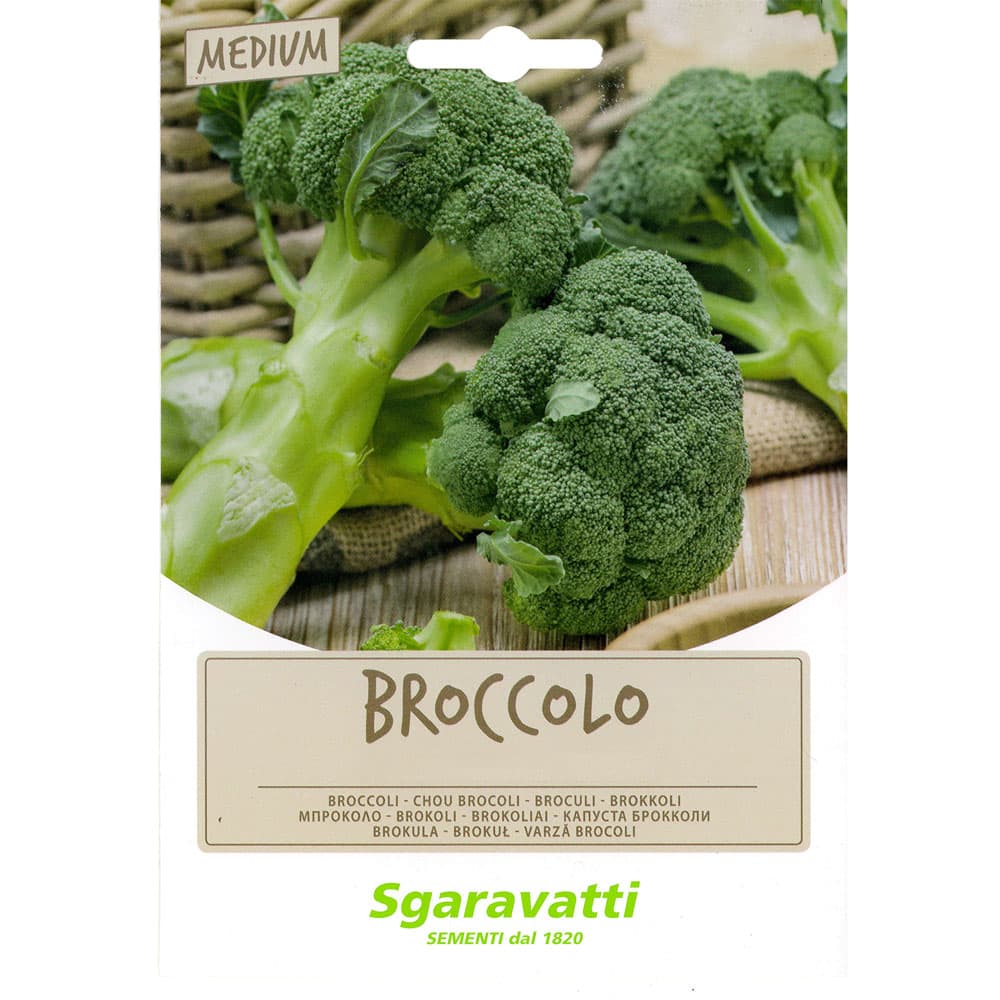 Semi per Fave Broccoletto Sessantino Riccio S. Marzano Sgaravatti 100 gr - 2