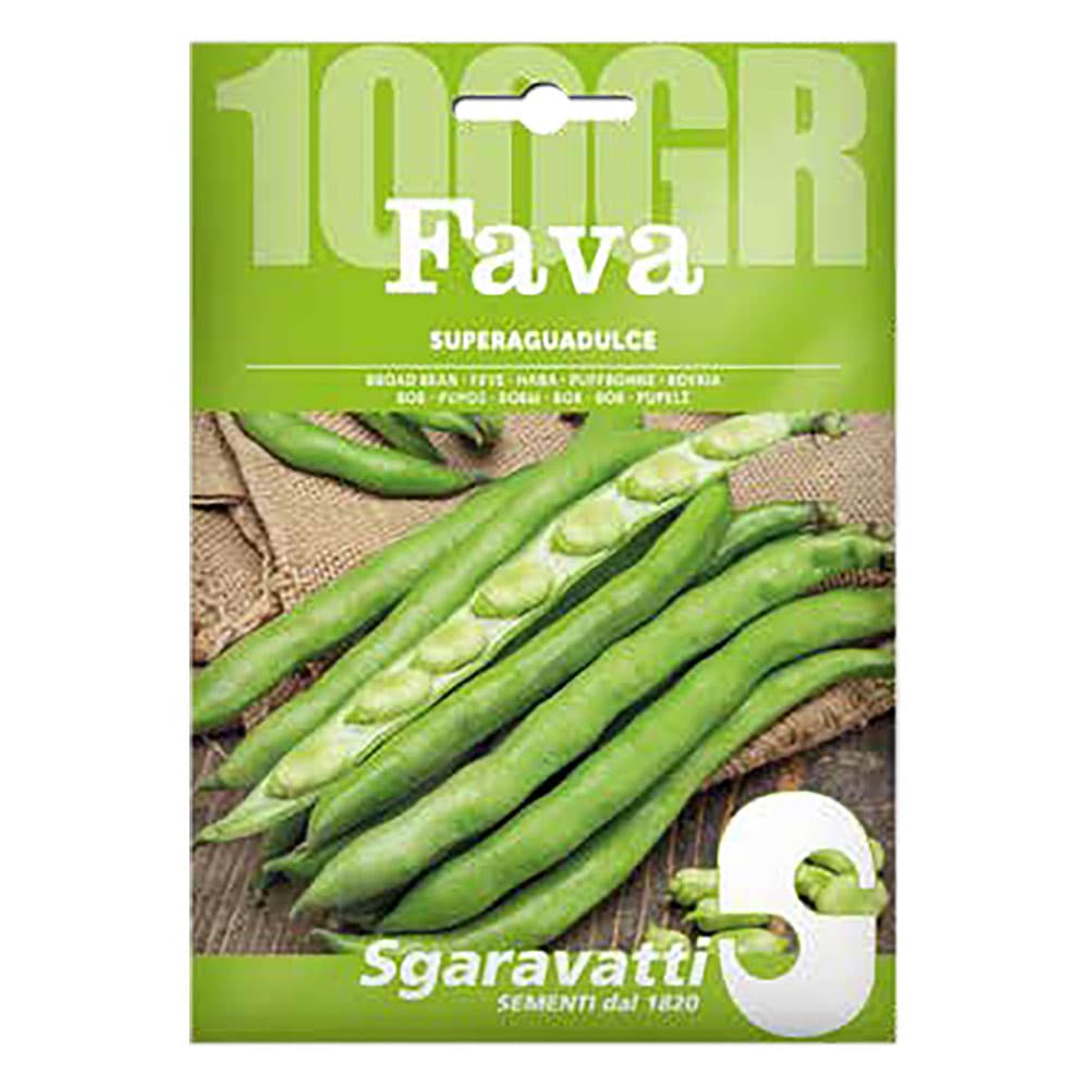 Semi per Fave Fava Superaguadulce Sgaravatti 250 gr - 2