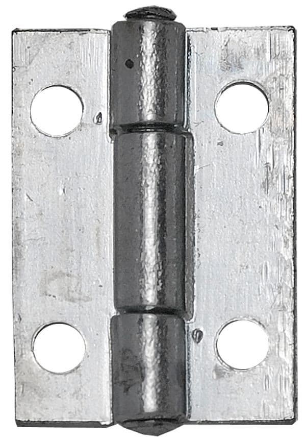 Cerniera Stretta Perno Fisso in Acciaio Zincato Mm 60 x 35 24 Pezzi Aldeghi - 2