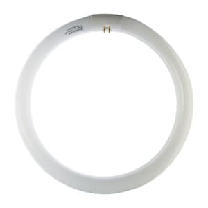 Circolina 32W G10Q 2000LM 6500K 12 Pezzi - 2