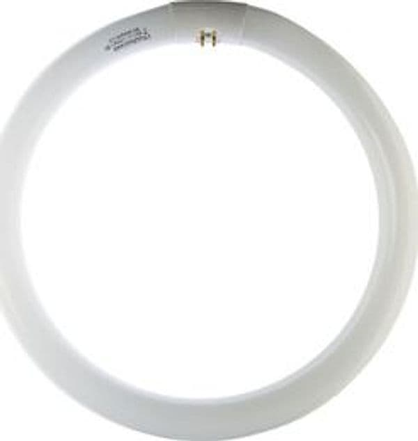 Circolina 40W G10Q 3200LM 6500K 12 Pezzi – Idroweb