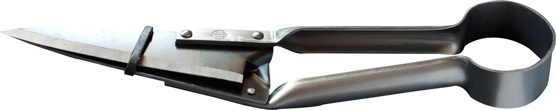 Forbici per Pecora Cm 29 2 Buoi - 2