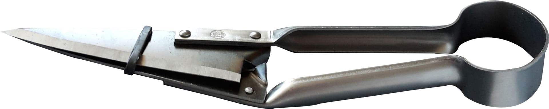 Forbici per Pecora Cm 29 2 Buoi - 2