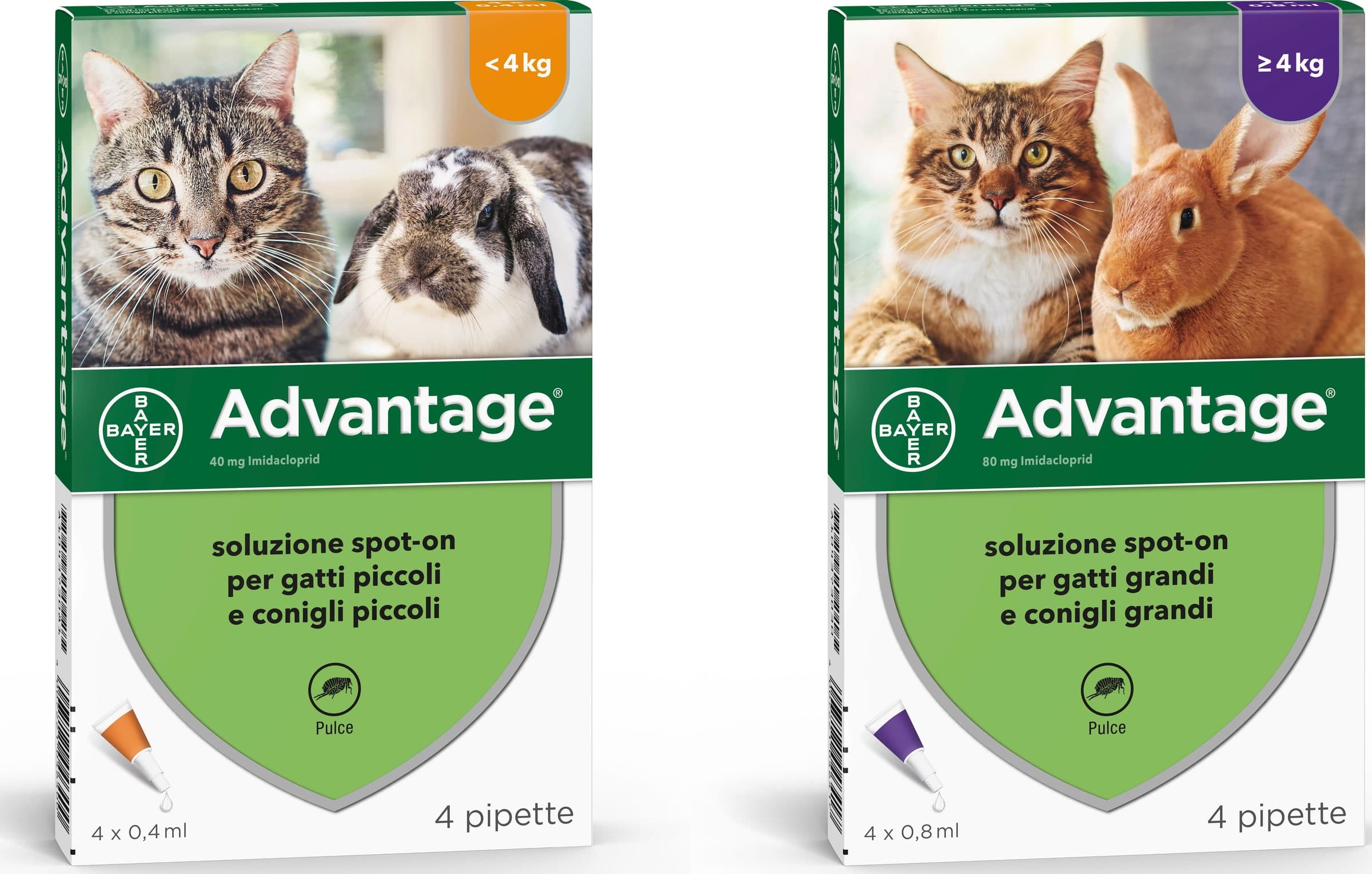 Bayer ANTIPARASSITARIO ADVANTAGE PER GATTI E CONIGLI inferiori a kg.  4 (4 pipette)