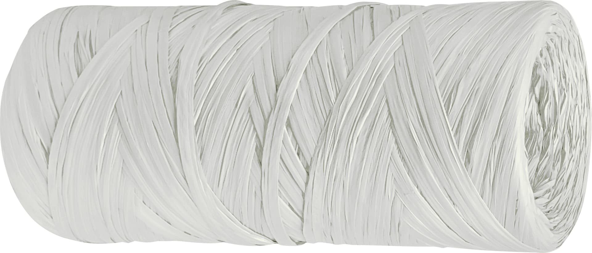 Rafia Sintetica a Conetti Colore Avorio GR.200 8 00 kg – Autres