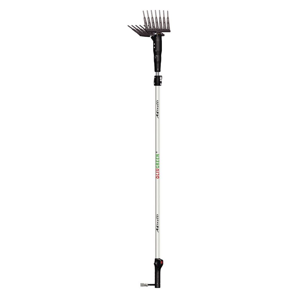 Abbacchiatore Elettrico Motore Minelli Olivgreen A3 12V - 2