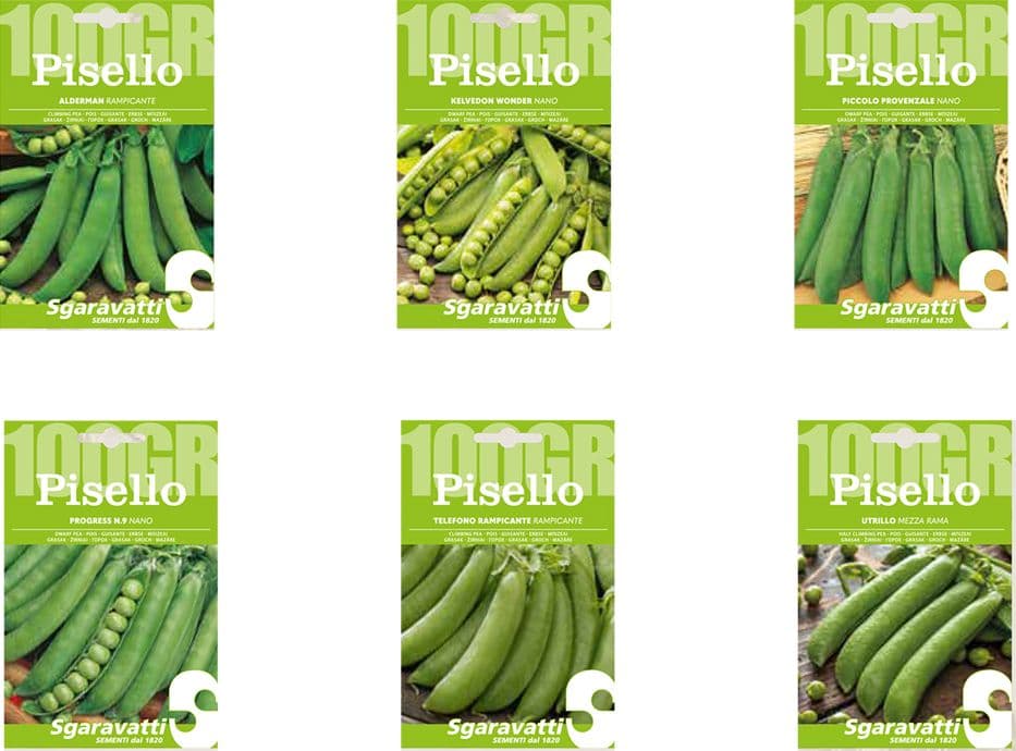 SEMI PER FAVE pisello progress (nano) n.9 - gr 250  - SGARAVATTI - 2