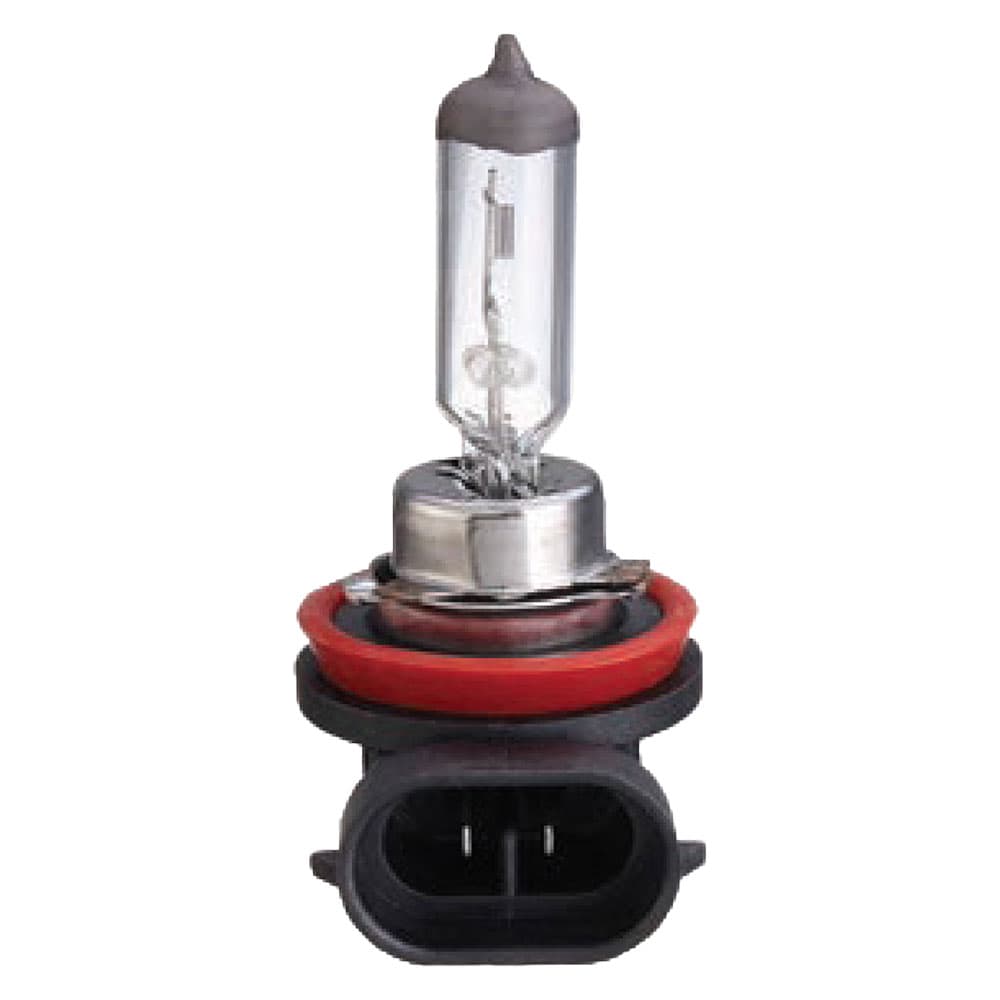 Lampadina Alogena per Auto H11 w 55 Base PGJ19 2 - 2