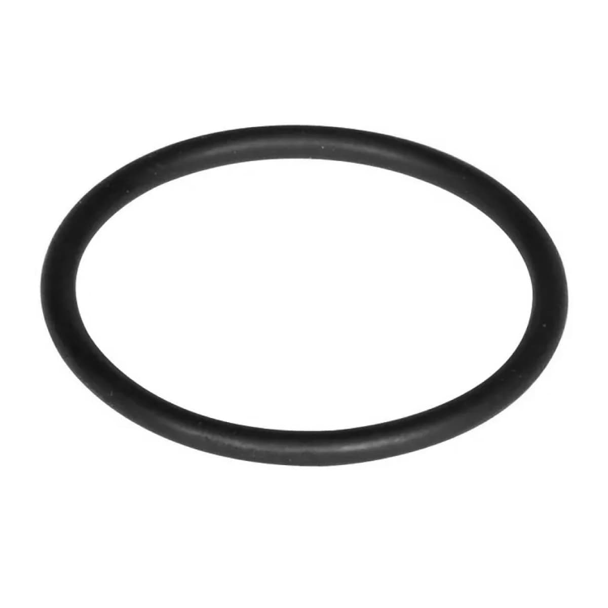 Guarnizione o Ring 147 per Sede Estraibile e Codulo Pucciplast - 2