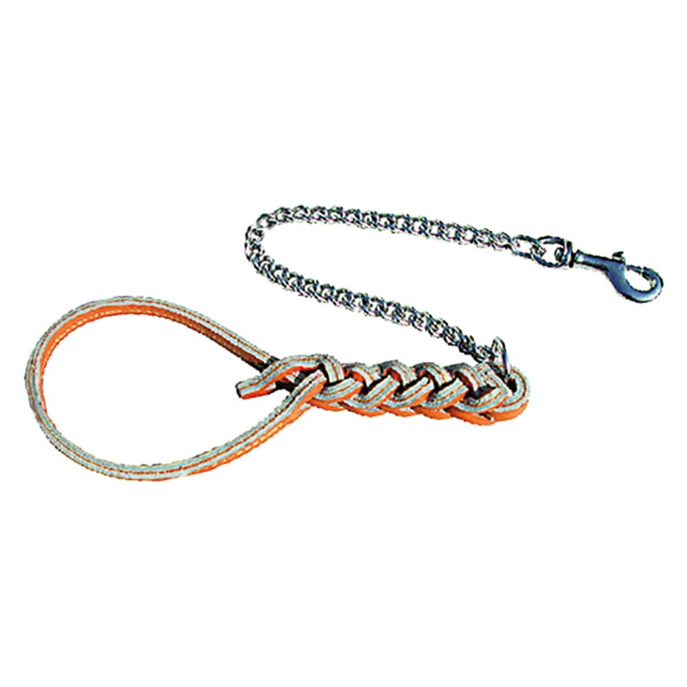 Guinzaglio per Cane 70 cm - 2