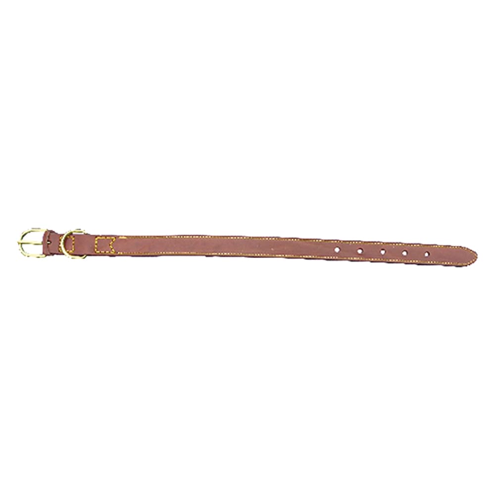 Collare per Cane Larg. Lung. 25 mm 56 cm - 2