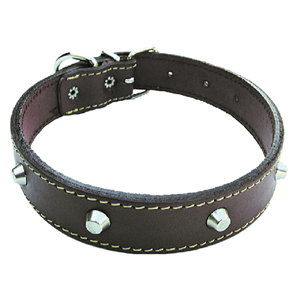 Collare per Cane Larg. Lung. 6 Pezzi 25 mm 55 cm - 2