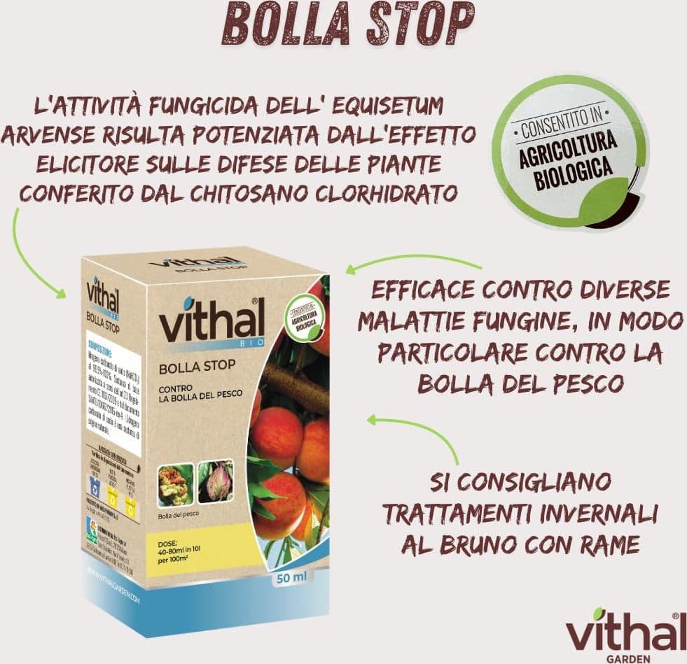 Fungicida Sistemico Vithal Bolla Stop 50 ml - 2