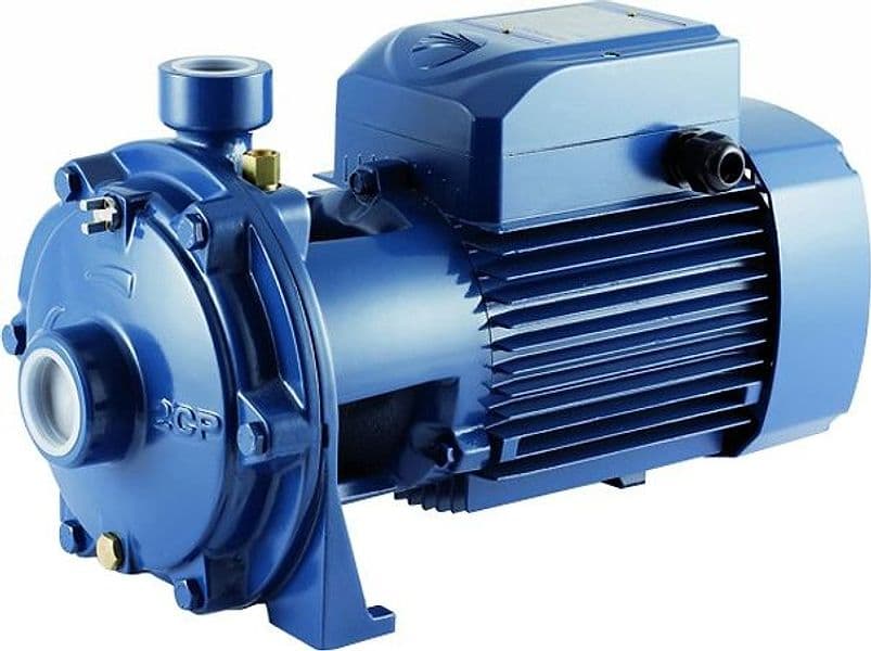 Pompa Elettrica Centrifuga Bigirante in Ghisa 0,75 kW 230 V Pedrollo - 2