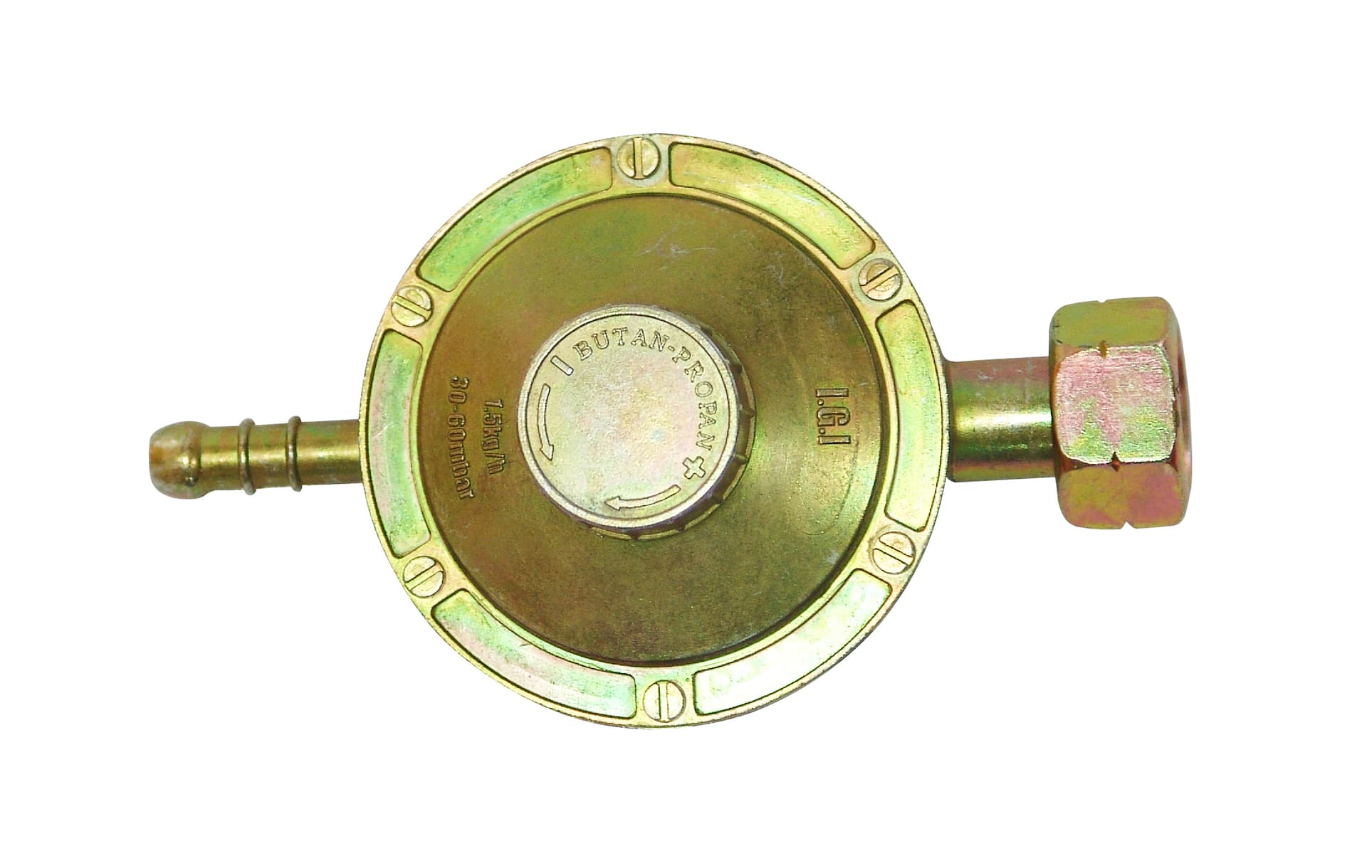Regolatore Gas Taratura Variabile Project - 2