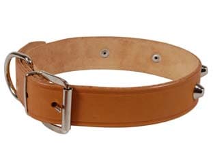 Collare per Cani Cuoio Extra Naturale Finta Cucitura con Borchie 65 6 Pezzi - 2