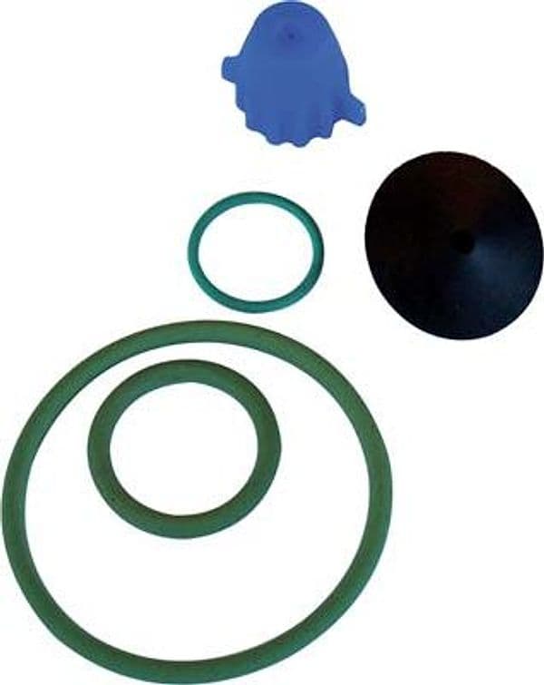 Kit Ricambi Pompa Eros Viton dal Degan - 2