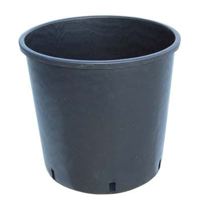 Vaso Vivaista Pp Nero H 18,5 L 30 cm 25 Pezzi - 2