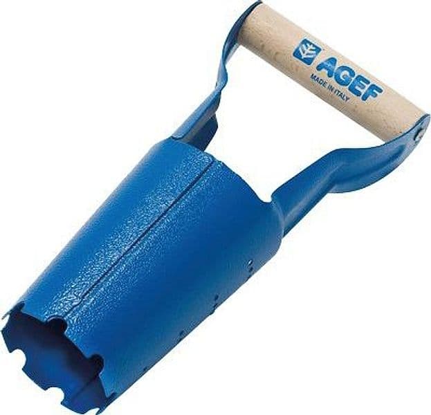 Pianta Bulbo Fisso Agef Acciaio Vern Faggio 24 cm 5 Pezzi - 2
