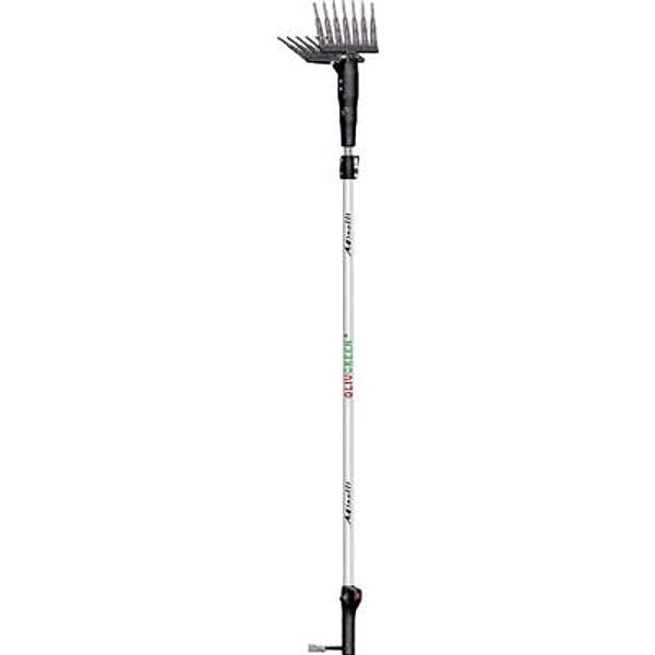 Cogliolive Batteria Olivgreen A3 Minelli Volt 12 Ah 60 Bpm 1100 2,2 m x - 2