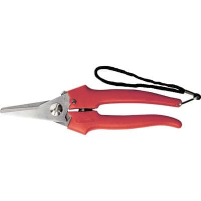 Forbice Raccolta a Punta Larga Ausonia 19 cm 12 Pezzi - 2