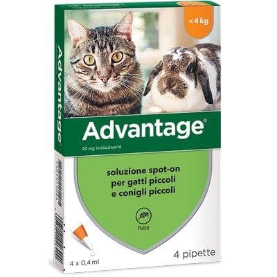 Antiparassitario Advantage Gatti Elanco 4 0 kg 4 Pezzi - 2