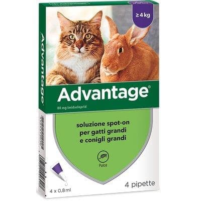 Antiparassitario Advantage Gatti Elanco con 4 kg 4 Pezzi - 2