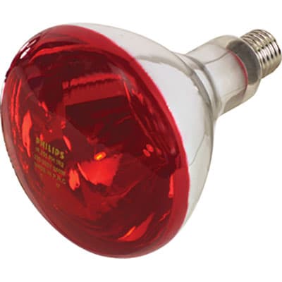 Lampada Riflettore Pulcini Infrarossi Volt 230 Watt 150 E27 Mm 125 - 2